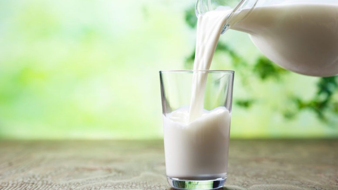 Bere latte dopo i 50 anni fa veramente bene? Attenzione, ecco la risposta |  Android News