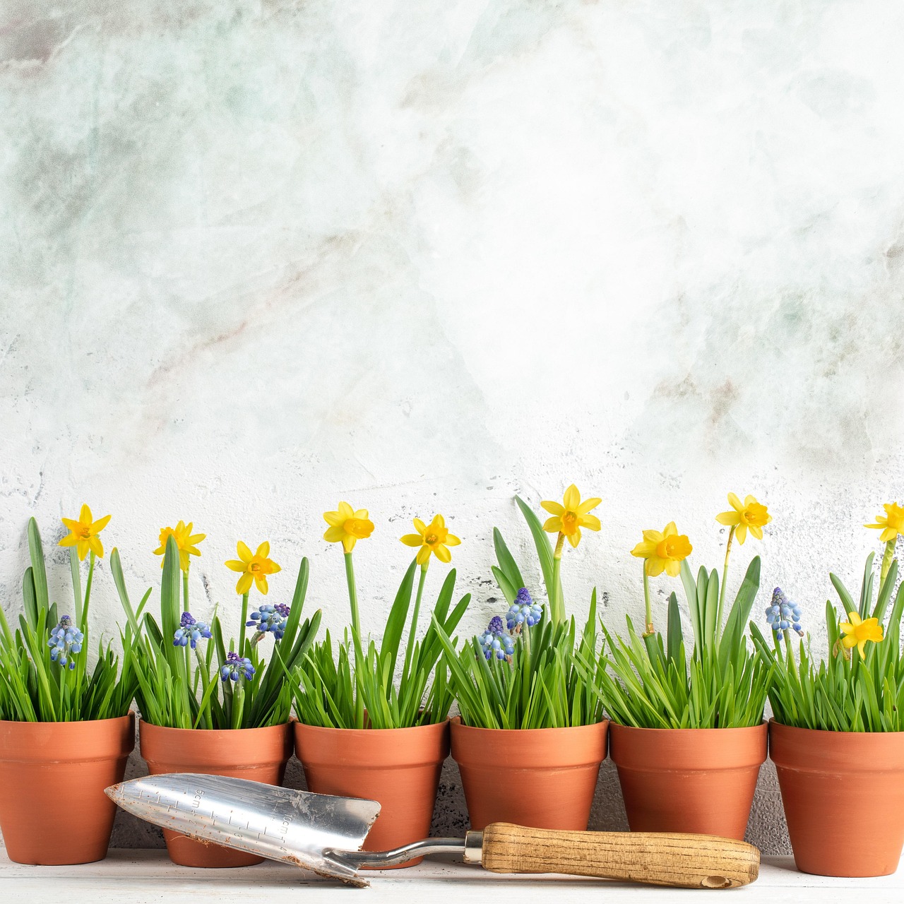 Orto primaverile con piante fresche e fiorite, ideale per la semina di aprile.