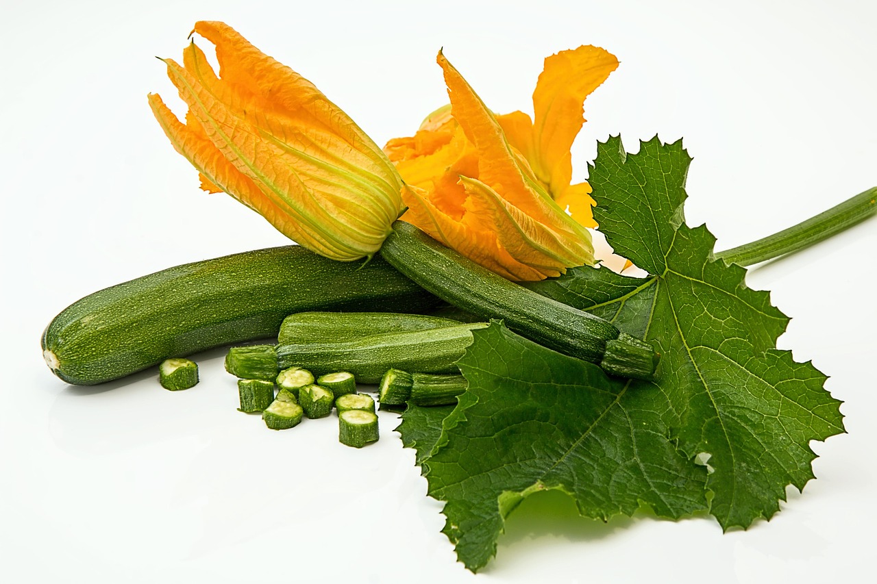Zucchine cresciute in vaso, con foglie verdi e fiori gialli, perfette per una coltivazione casalinga.