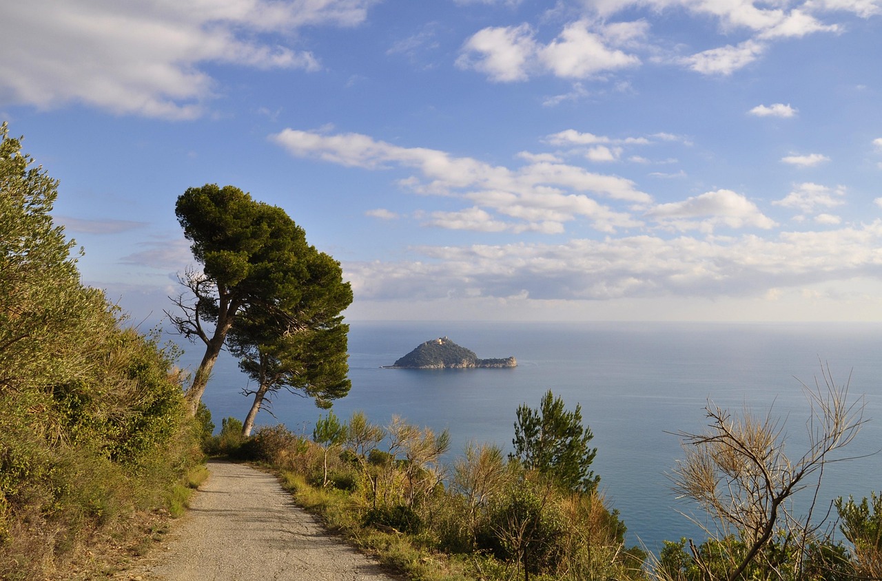 Spiaggia cristallina dell'Isola d'Elba, circondata da scogli e vegetazione mediterranea.