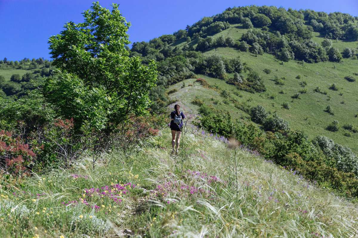 Panorama della Via degli Abati, un suggestivo sentiero tra gli Appennini, circondato da natura incontaminata.
