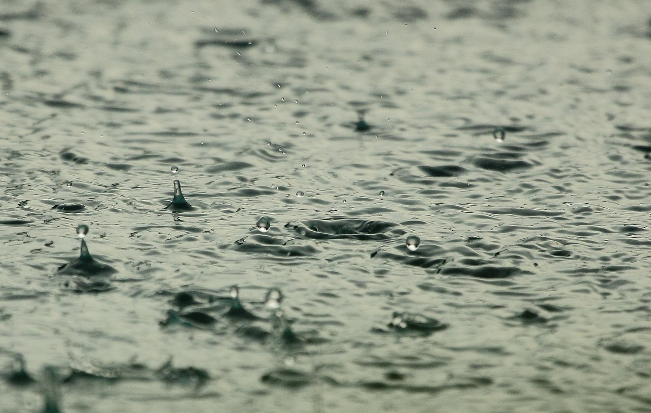 Immagine di un sistema di raccolta dell'acqua piovana con serbatoi e tubi in giardino.